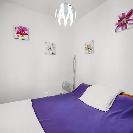 T2 Dans Arboree Apartmán *