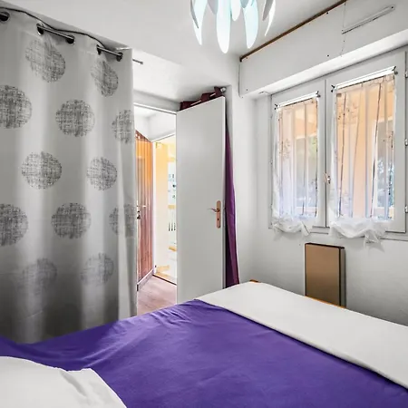 T2 Dans Arboree Apartment